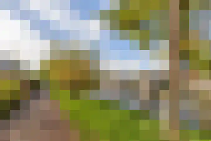 Socrateshof 16 Huizen thumbnail 28