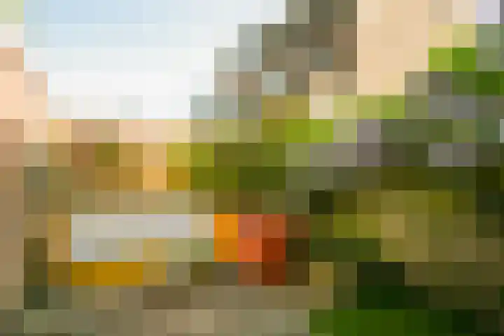 Socrateslaan 37 Utrecht thumbnail 13