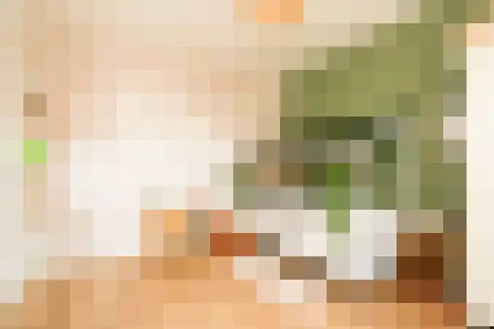 Socrateslaan 37 Utrecht thumbnail 20