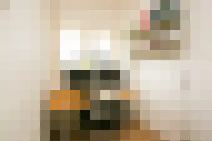 Socrateslaan 37 Utrecht thumbnail 23