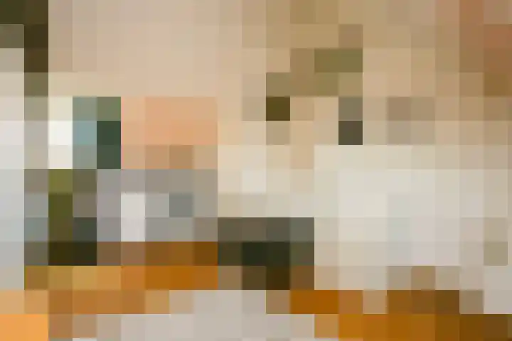 Socrateslaan 37 Utrecht thumbnail 25