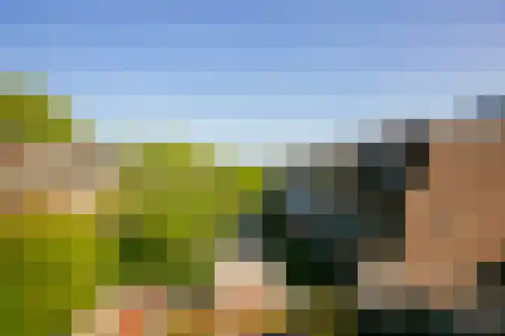 Socrateslaan 37 Utrecht thumbnail 28
