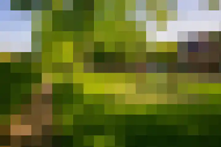 Socrateslaan 37 Utrecht thumbnail 31