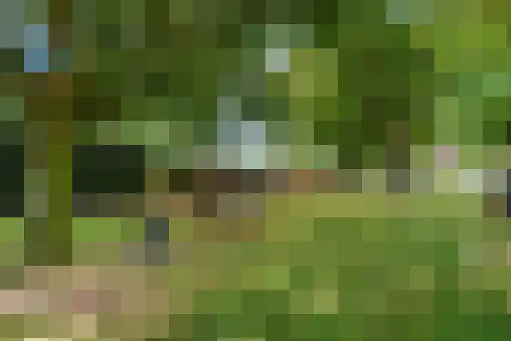 Socrateslaan 37 Utrecht thumbnail 32