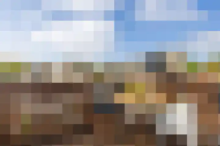 Socrateslaan 42 Utrecht thumbnail 18