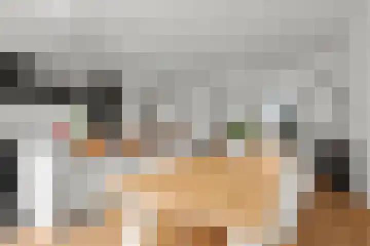 Socrateslaan 42 Utrecht thumbnail 37