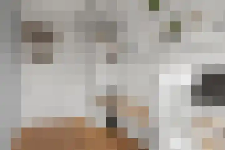 Socrateslaan 42 Utrecht thumbnail 47