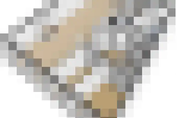 Socrateslaan 42 Utrecht thumbnail 67