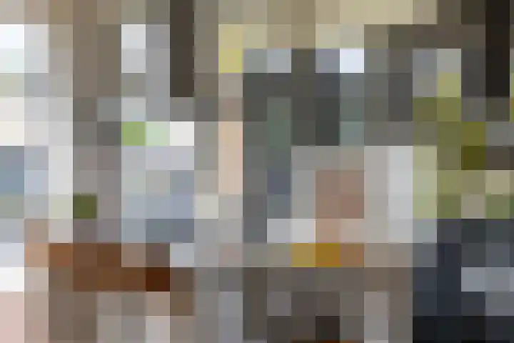 Socrateslaan 42 Utrecht thumbnail 8