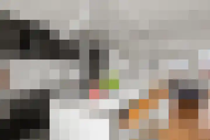 Socrateslaan 42 Utrecht thumbnail 9