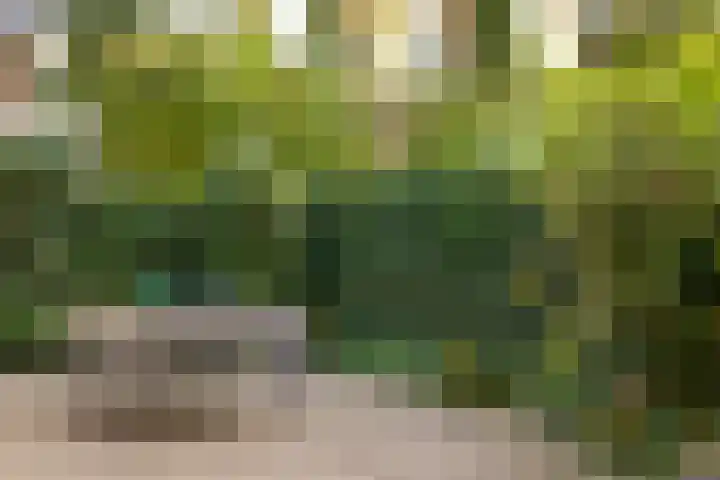 Socrateslaan 8 Zeist thumbnail 26
