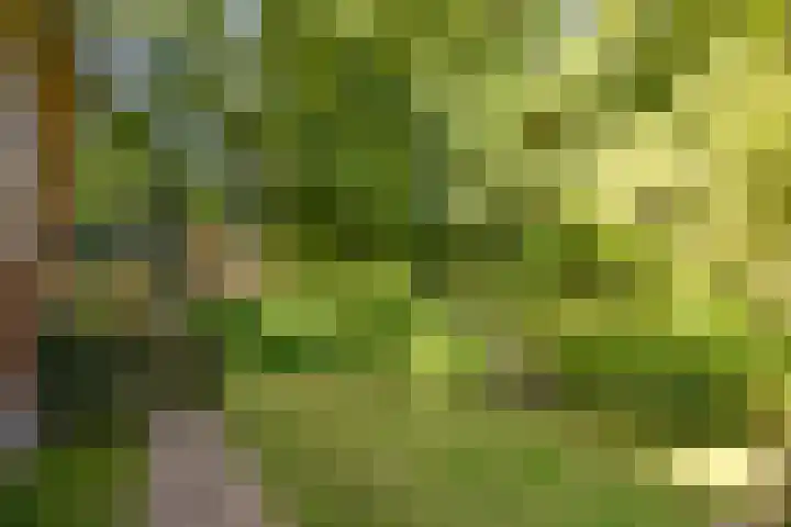 Socrateslaan 8 Zeist thumbnail 27