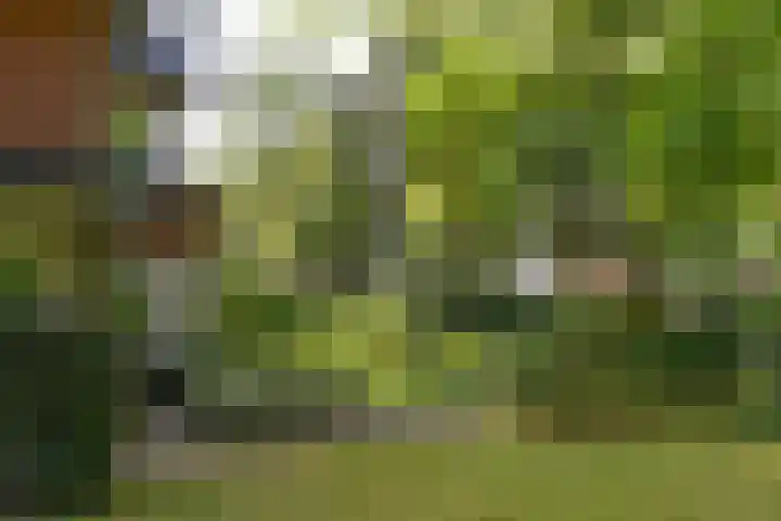 Socrateslaan 8 Zeist thumbnail 28