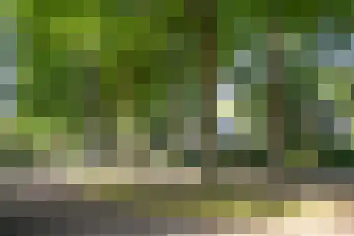 Socrateslaan 8 Zeist thumbnail 32