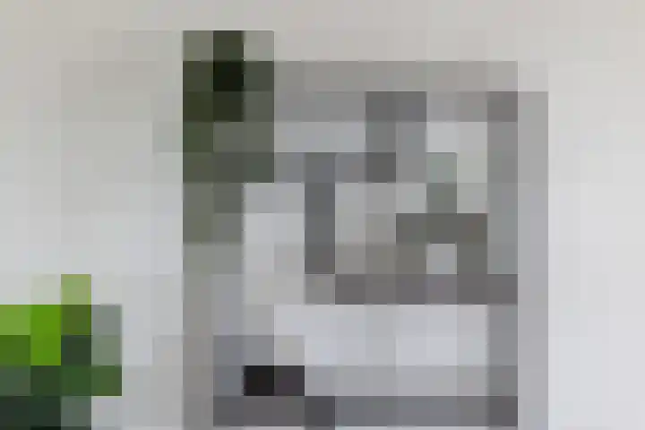 Socrateslaan 83 's-Hertogenbosch thumbnail 11