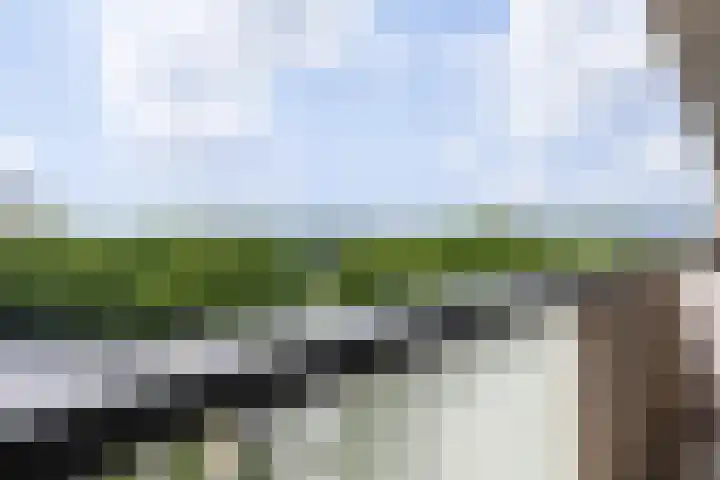 Socrateslaan 83 's-Hertogenbosch thumbnail 15