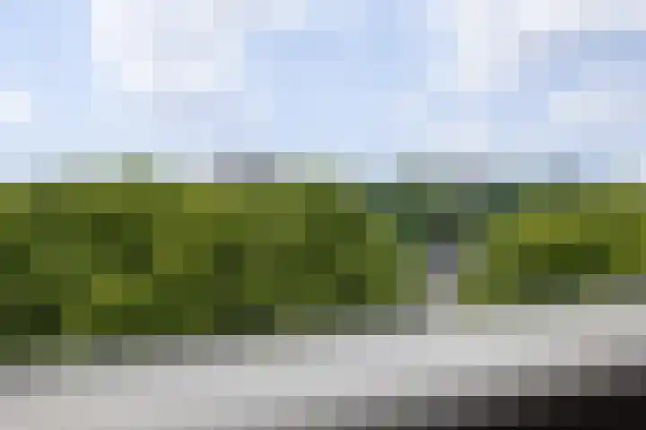 Socrateslaan 83 's-Hertogenbosch thumbnail 16