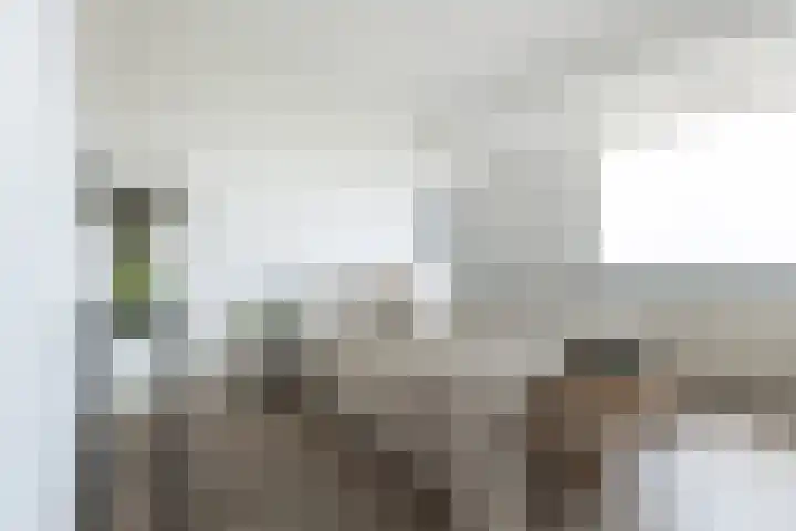 Socrateslaan 83 's-Hertogenbosch thumbnail 27