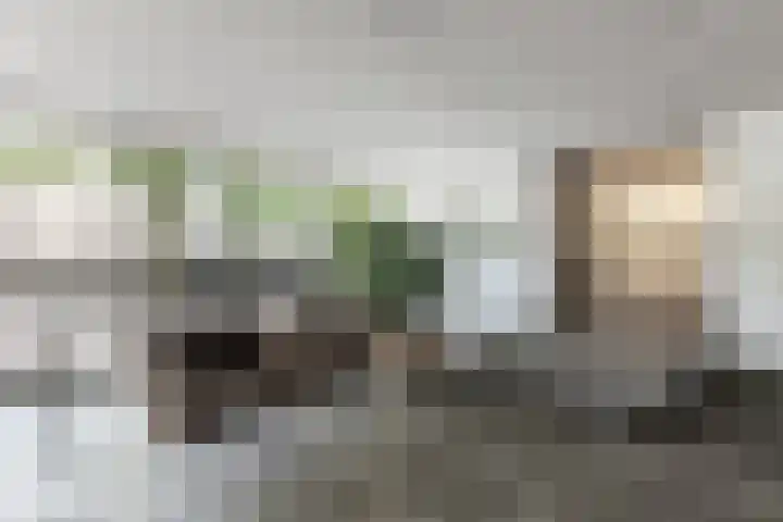 Socrateslaan 83 's-Hertogenbosch thumbnail 34