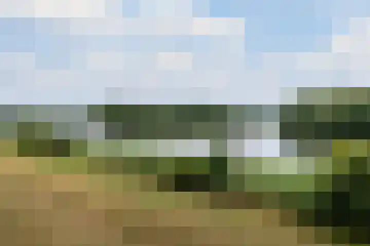 Socrateslaan 83 's-Hertogenbosch thumbnail 35