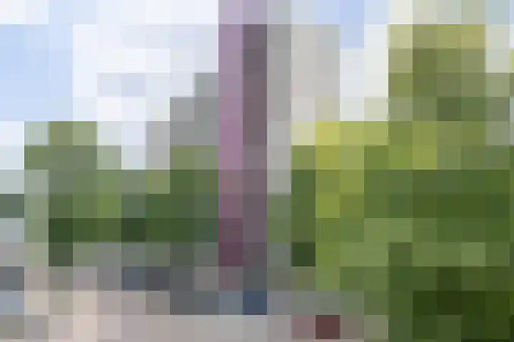 Socrateslaan 83 's-Hertogenbosch thumbnail 38
