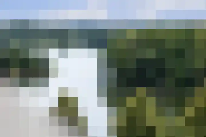Socrateslaan 83 's-Hertogenbosch thumbnail 4