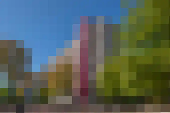 Socrateslaan 83 's-Hertogenbosch thumbnail 41