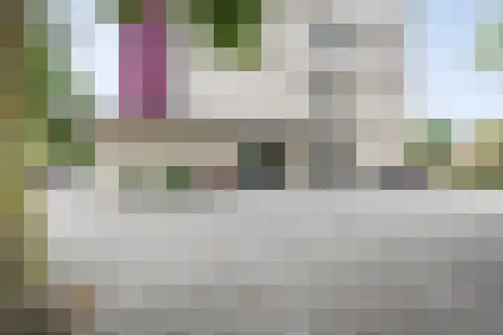 Socrateslaan 83 's-Hertogenbosch thumbnail 5