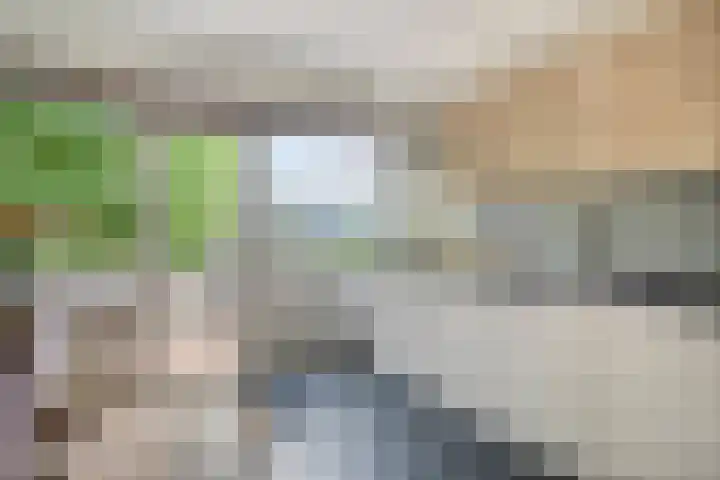 Socratesstraat 122 Apeldoorn thumbnail 17