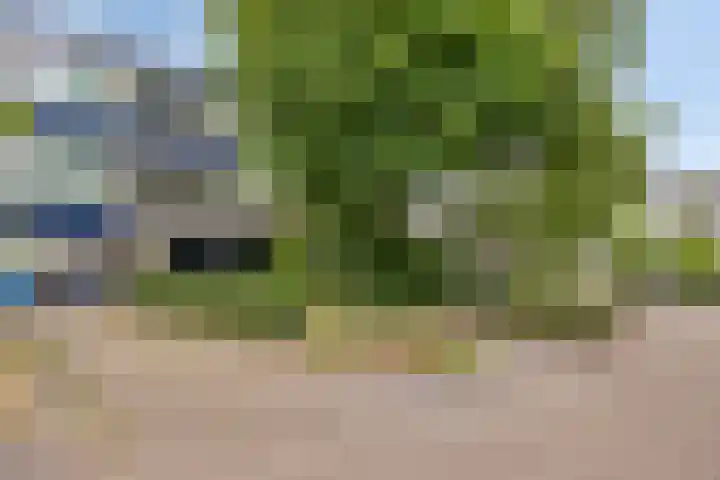 Socratesstraat 122 Apeldoorn thumbnail 39