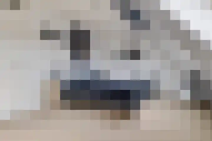 Sodalietdreef 31 Emmen thumbnail 12