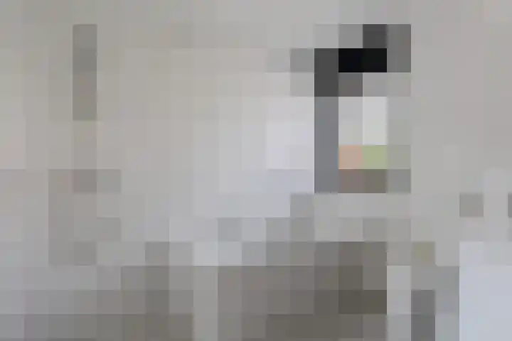Sodalietdreef 31 Emmen thumbnail 15