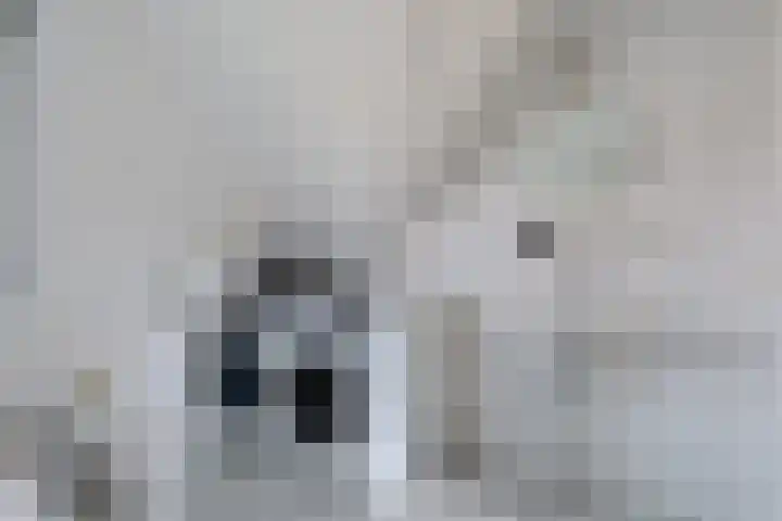 Sodalietdreef 31 Emmen thumbnail 16