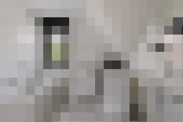 Sodalietdreef 31 Emmen thumbnail 17
