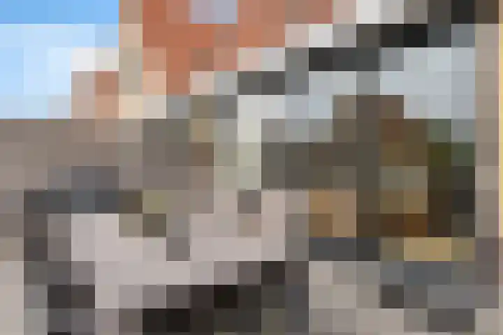 Sodalietdreef 31 Emmen thumbnail 18