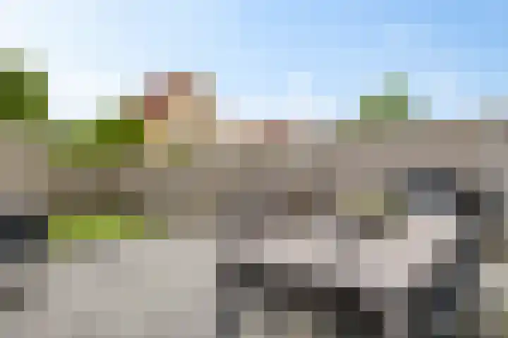 Sodalietdreef 31 Emmen thumbnail 19