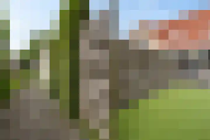 Sodalietdreef 31 Emmen thumbnail 22