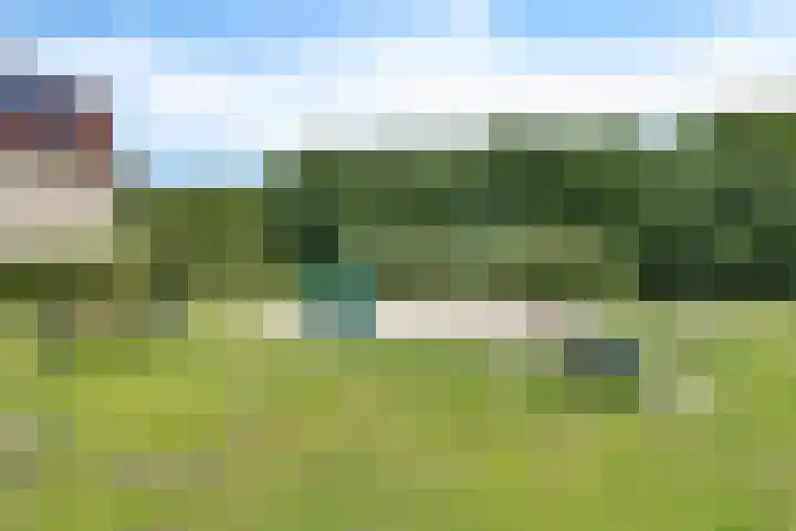 Sodalietdreef 31 Emmen thumbnail 25