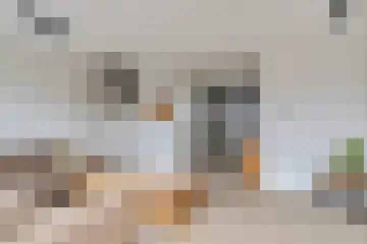 Sodalietdreef 31 Emmen thumbnail 4