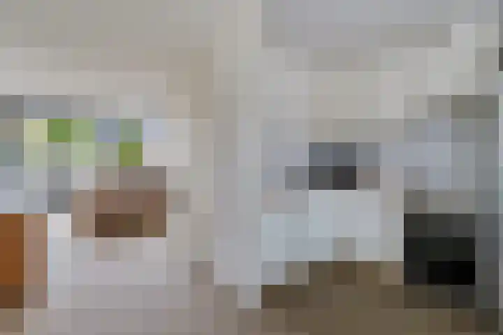 Sodalietdreef 31 Emmen thumbnail 8