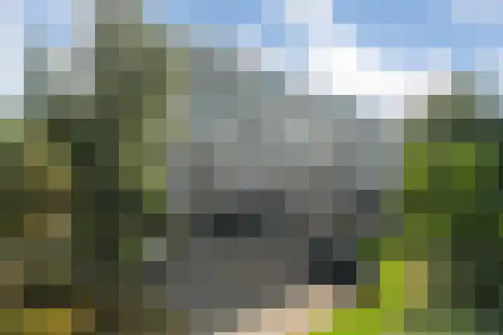 Söderblomplaats 382 Rotterdam thumbnail 10