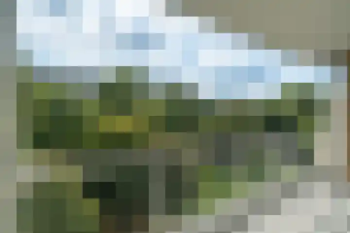 Söderblomplaats 382 Rotterdam thumbnail 5