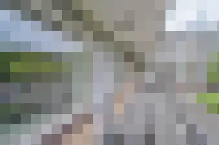 Söderblomplaats 412 Rotterdam thumbnail 17