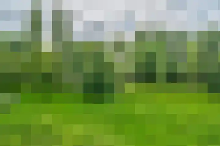 Söderblomplaats 412 Rotterdam thumbnail 20