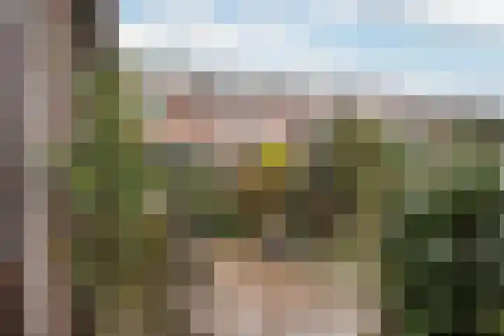 Soendalaan 29 Vlaardingen thumbnail 15
