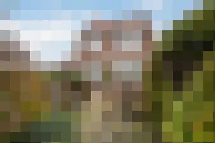 Soendalaan 29 Vlaardingen thumbnail 17