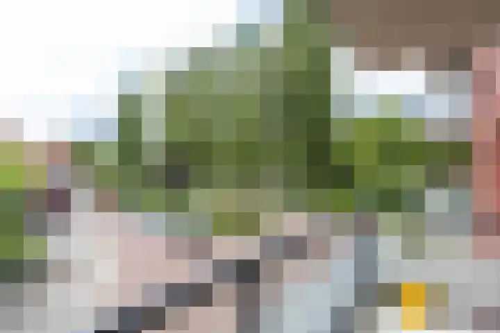 Soendastraat 13 Groningen thumbnail 20
