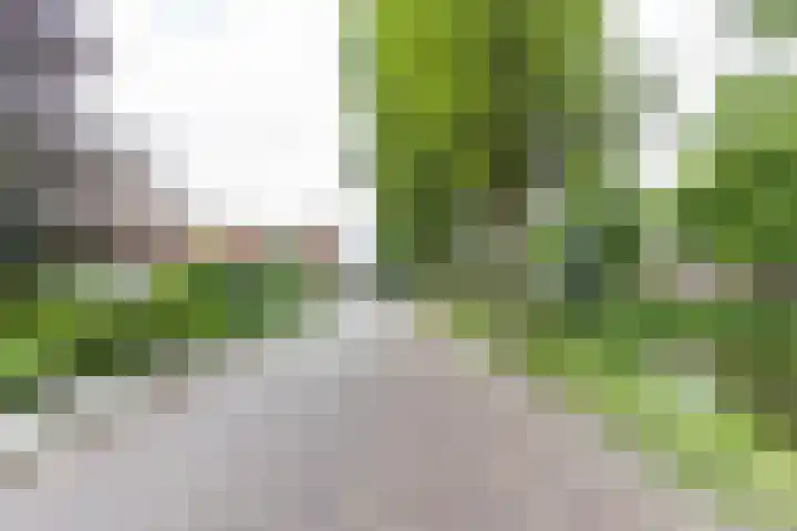 Soendastraat 13 Groningen thumbnail 28