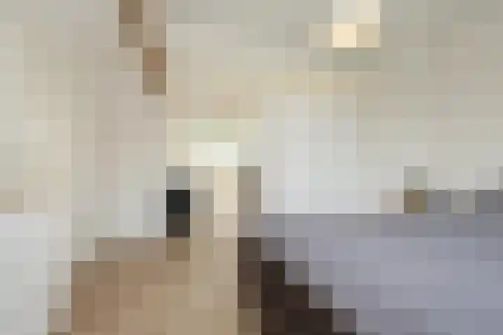 Soendastraat 16 Heemstede thumbnail 31