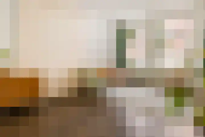 Soendastraat 8 1 Amsterdam thumbnail 6